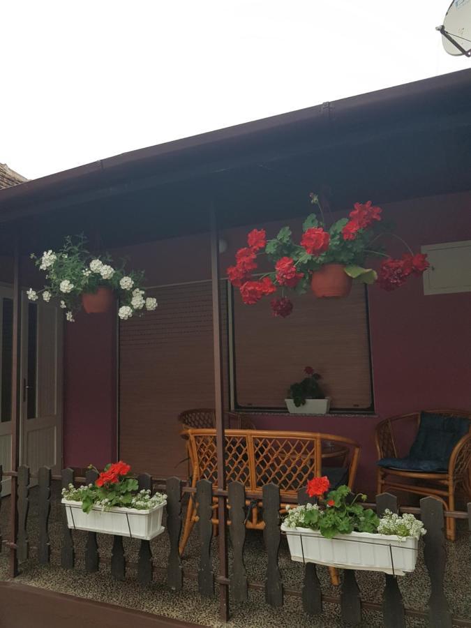 Apartmani, Sobe Ziza Bezdan Exteriör bild